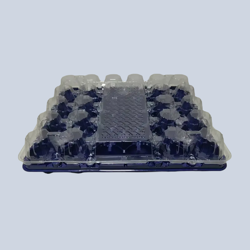 30-egg clear plastic lid and base carton