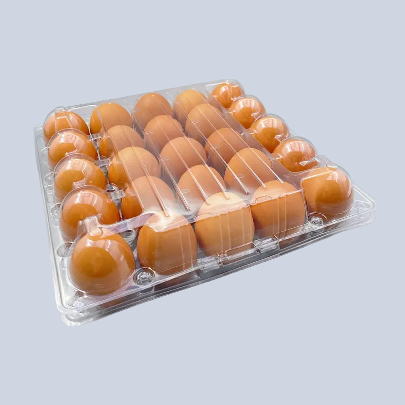 25-egg clear plastic lid and base carton