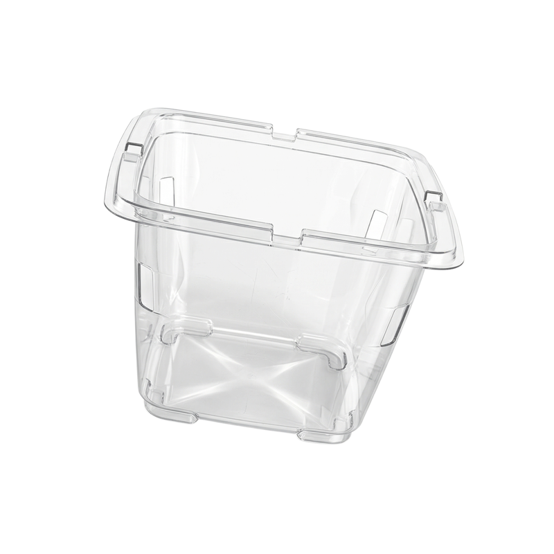 Top-seal pint punnet - TychonVert - Tychon Packaging